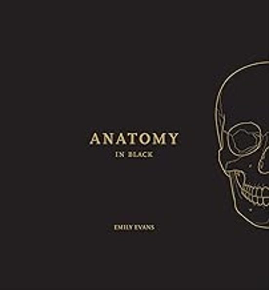 Anatomy In Black