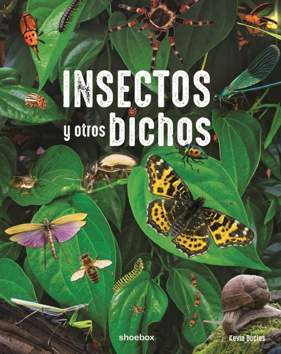 Insectos Y Otros Bichos