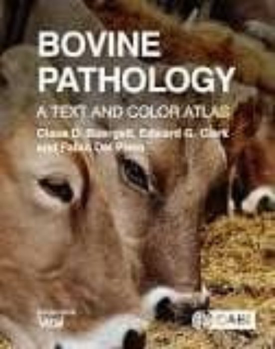 Bovine Pathology: A Text And Color Atlas