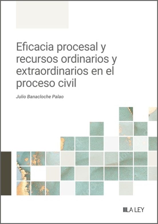 Eficacia Procesal Y Recursos Ordinarios Y Extraordinarios En El P Roce