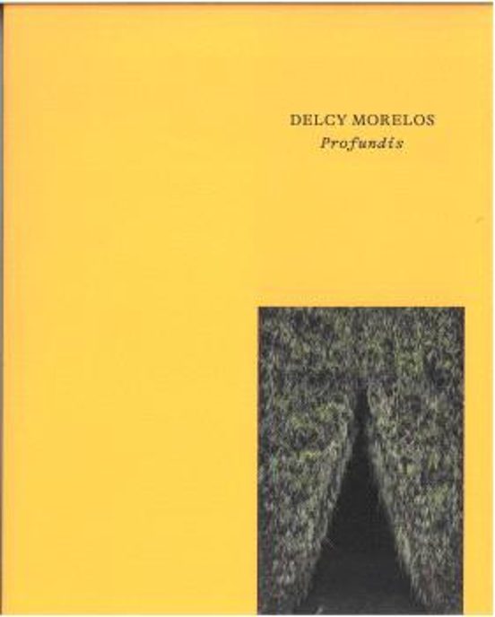 Delcy Morelos. Profundis