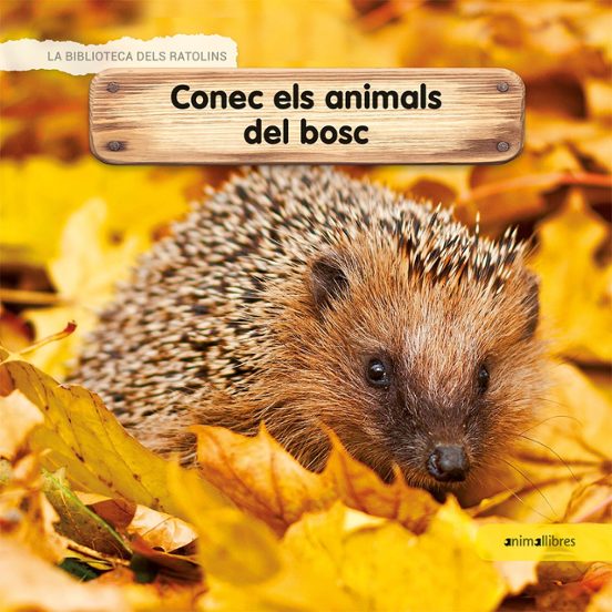 Conec Els Animals Del Bosc
