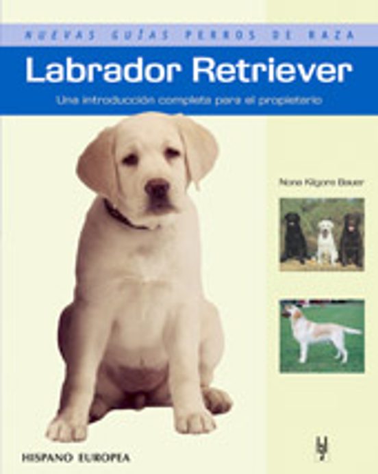 Labrador Terrier Una Introduccion Completa Para El Propietario