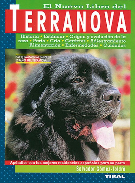 El Terranova
