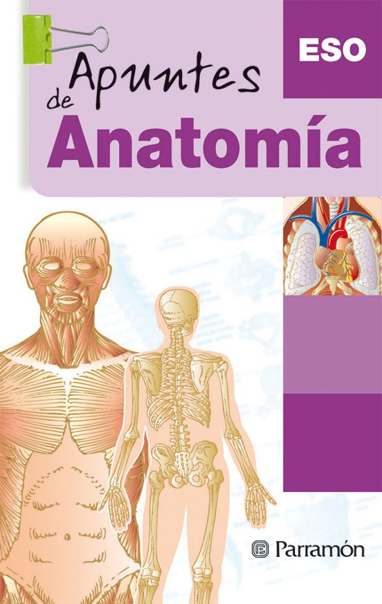 Apuntes De Anatomia