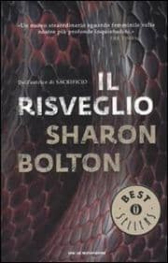 Il Risveglio