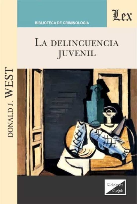 Delincuencia Juvenil La
