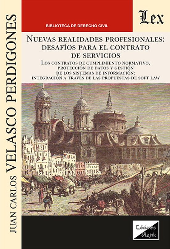 Nuevas Realidades Profesionales: Desafios para el Contrato de Ser Vici