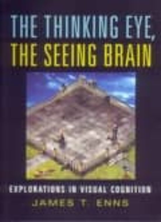 Thinking Eye The Seeing Brain : Explorations In Visual Cognition