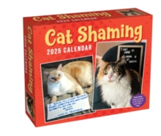 Cat Shaming 2025 Day-to-day Calendar