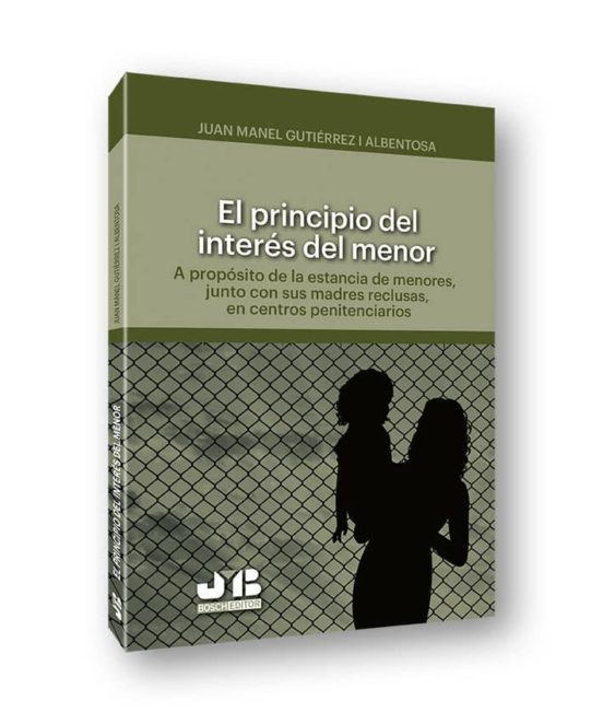 El Principio Del Interes Del Menor: A Proposito De La Estancia De Meno