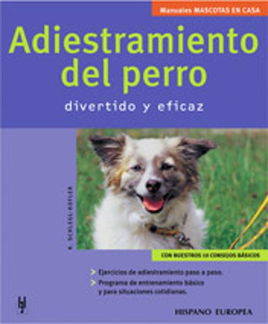 Adiestramiento Del Perro: Divertido Y Eficaz
