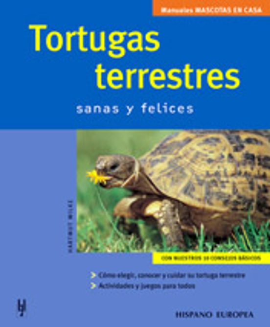 Tortugas Terrestres Sanas Y Felices