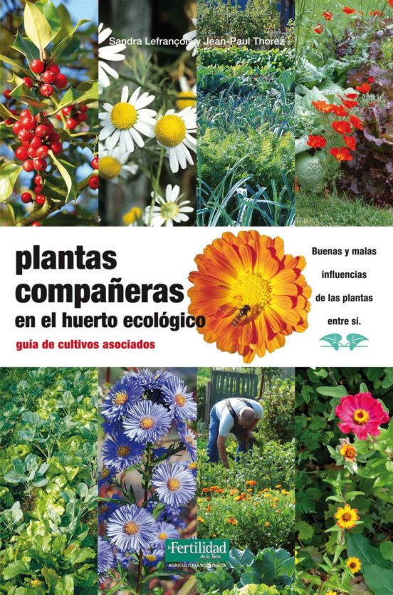 Plantas Compañeras En El Huerto Ecológico. Guía De Cultivos Asociados