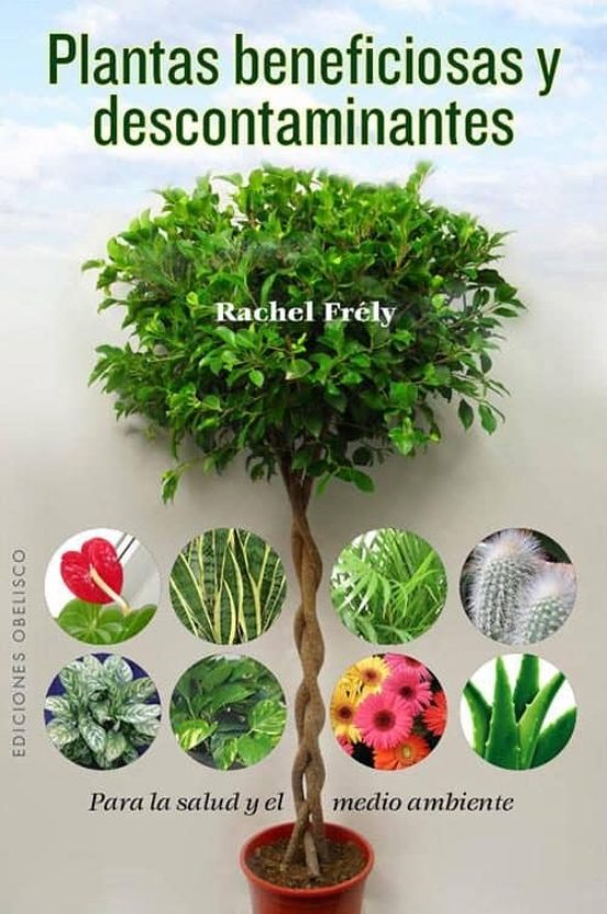 Plantas Beneficiosas Y Descontaminantes