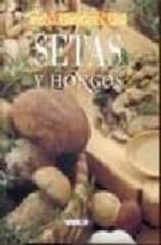 Setas Y Hongos