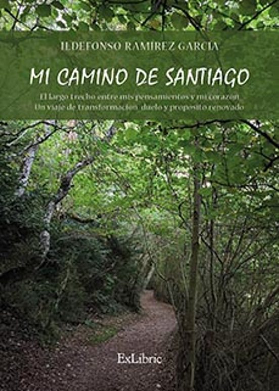Mi Camino de Santiago