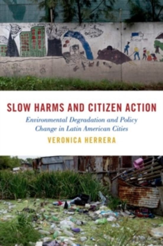 Slow Harms And Citizen Action