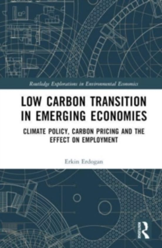 Low Carbon Transition In Emerging Economies