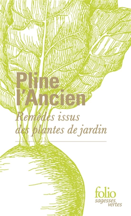 Remdes Issus Des Plantes De Jardin