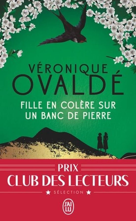 Fille En Colere Sur Un Banc De Pierre