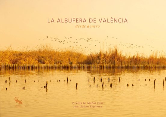 La Albufera De València Desde Dentro
