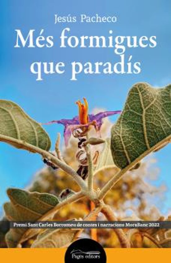 Més Formigues Que Paradís