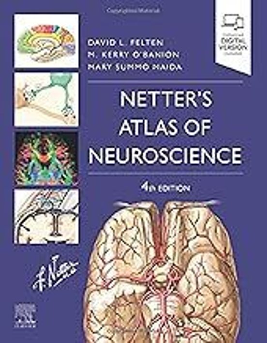 Lote Netter Neurociencia: Atlas De Neurociencia + Cuaderno De Neurocie