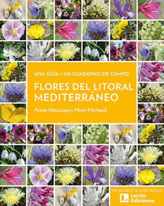 Flores Del Litoral Mediterráneo