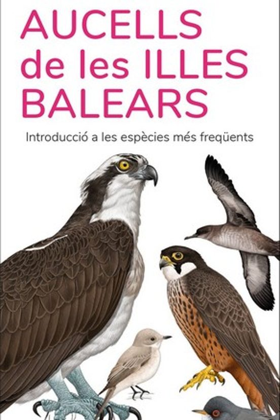 Aucells De Les Illes Balears - Guies Desplegables Tundra