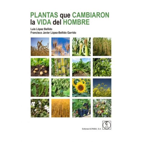 Plantas Que Cambiaron La Vida Del Hombre