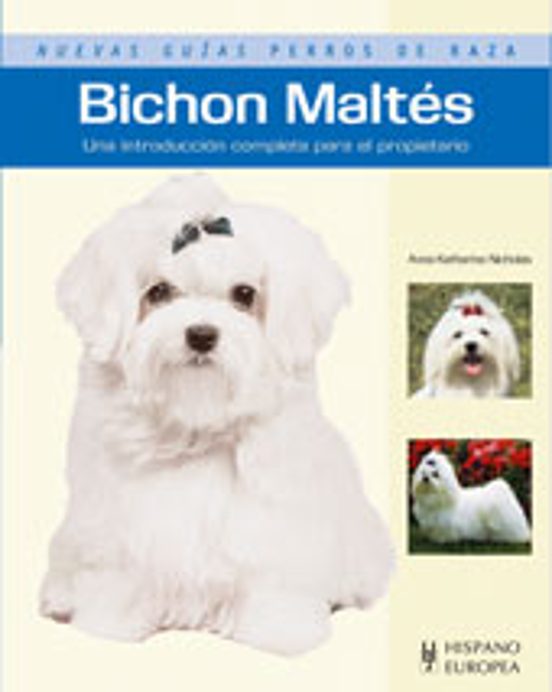 Bichon Maltés
