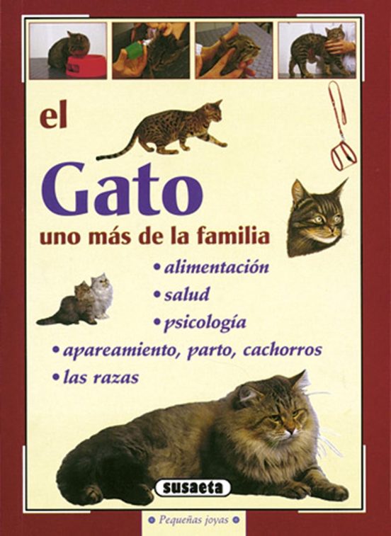 El Gato Uno Mas De La Familia