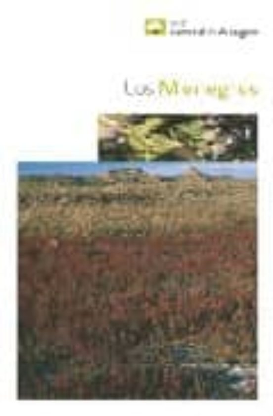 Los Monegros