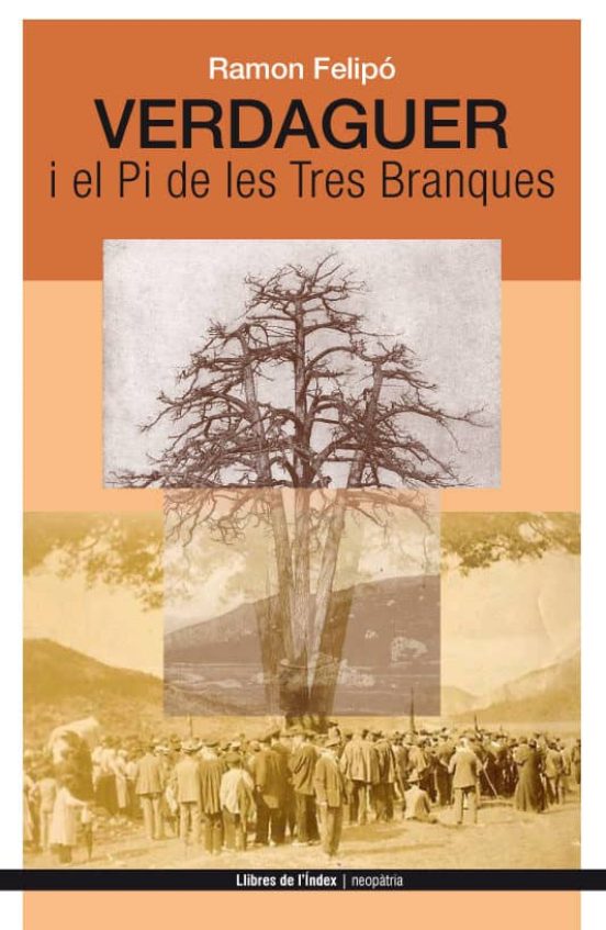 Verdaguer I El Pi De Les Tres Branques