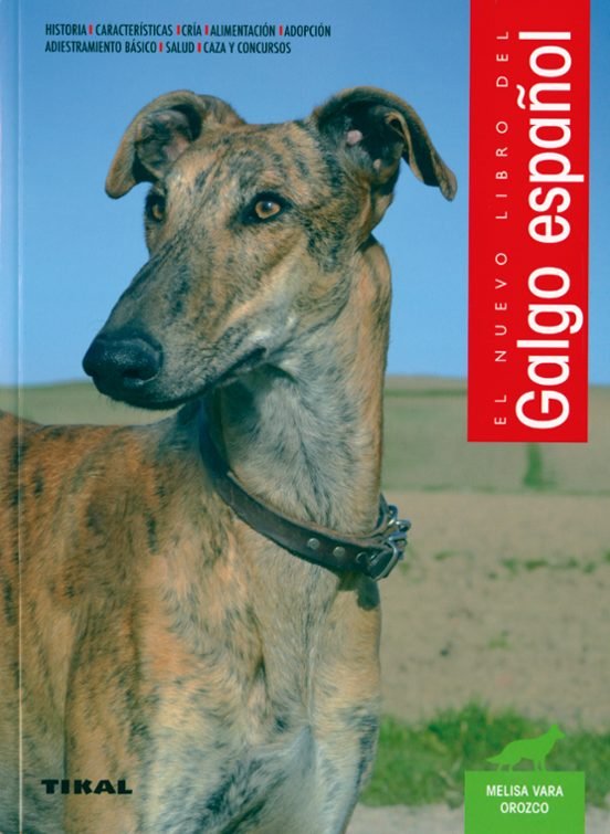El Galgo Español