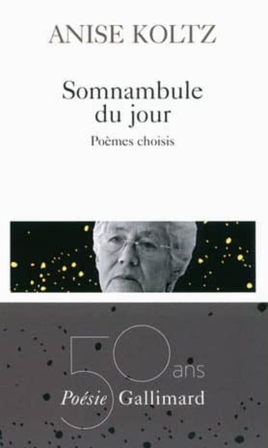 Somnambule Du Jour : Poèmes Choisis