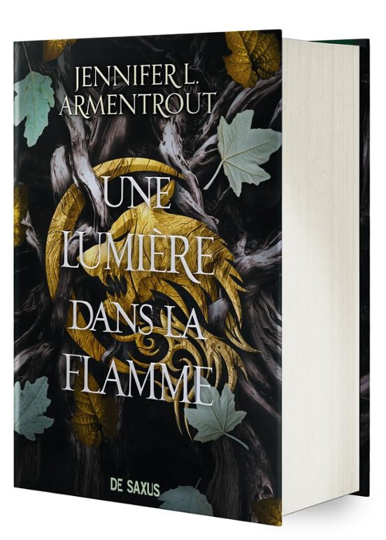 La Chair Et Le Feu. Vol. 2. Une Lumière Dans La Flamme