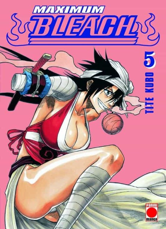 Bleach Maximum 5