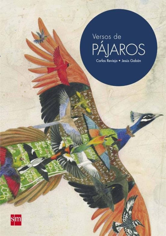 Versos De PÁJAROS