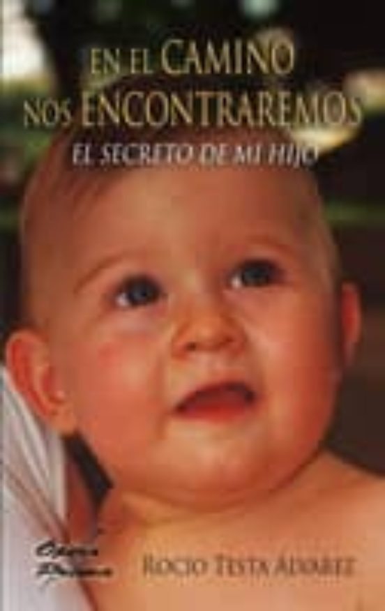 En El Camino Nos Encontraremos: El Secreto De Mi Hijo