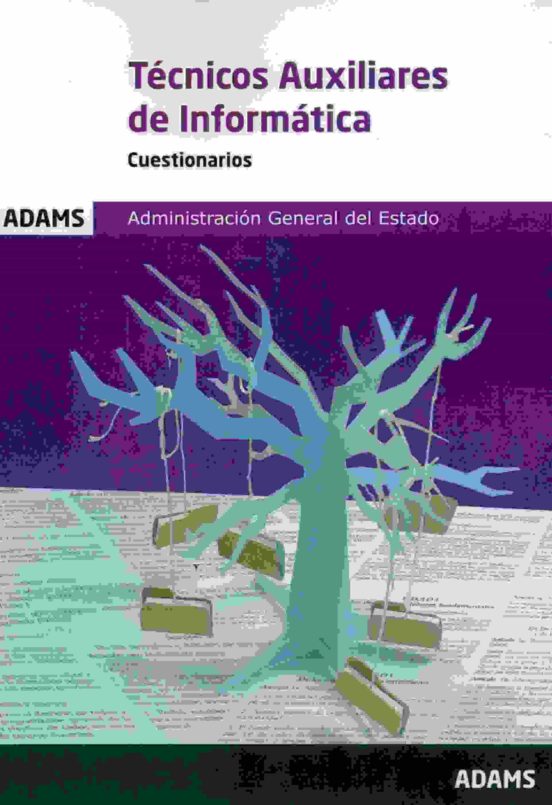 Tecnicos Auxiliares De Informatica - Cuestionarios