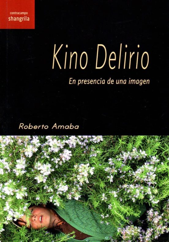 Kino Delirio: En Presencia De Una Imagen