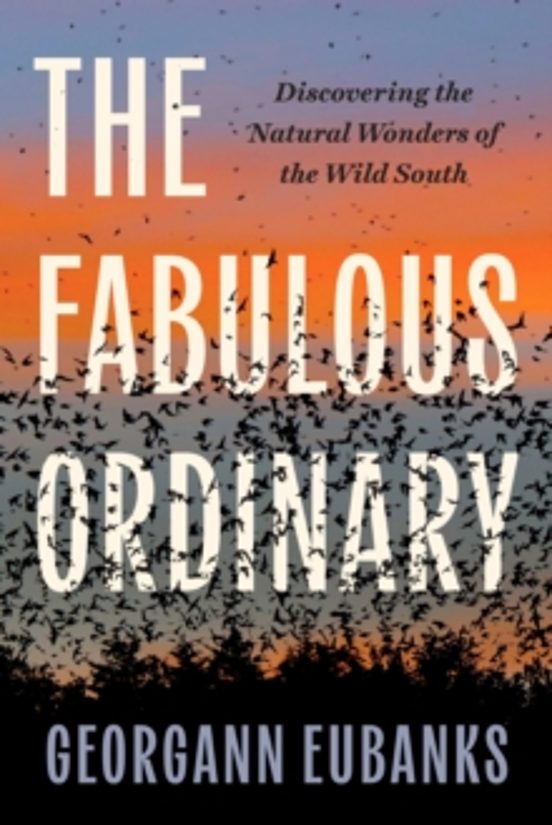 The Fabulous Ordinary