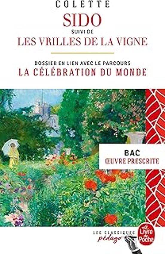 Sido Suivi Deles Vrilles De La Vigne : Dossier Thématique En Lien Avec