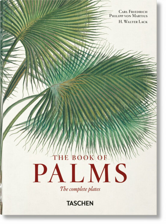 Martius. El Libro De Las Palmeras. 45th Ed