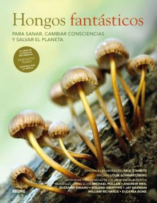 Hongos Fantásticos