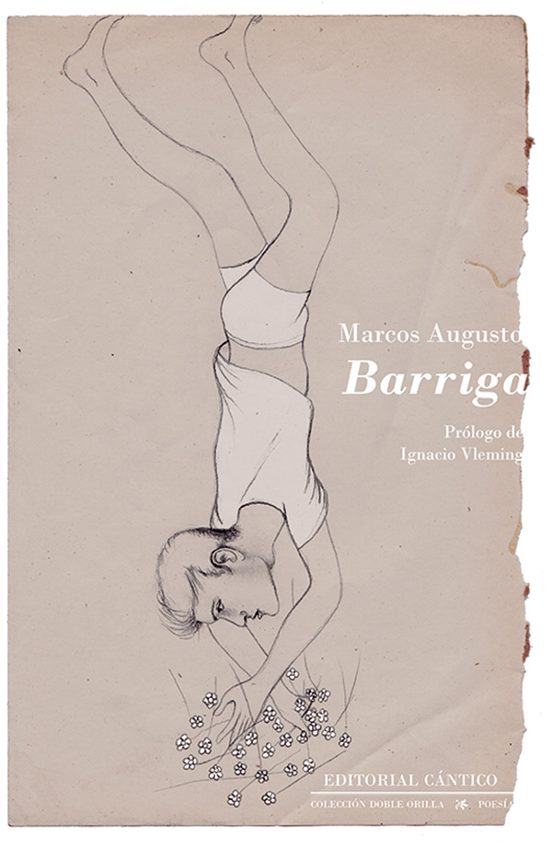 Barriga