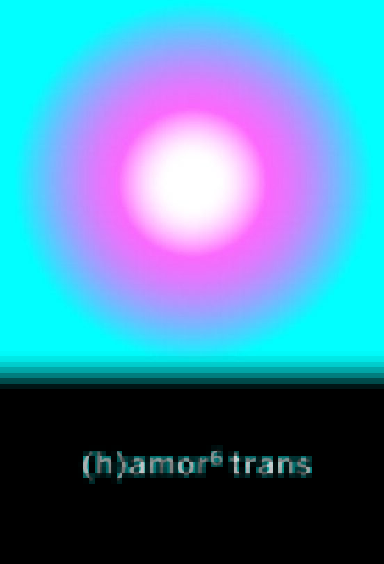 amor 6 Trans