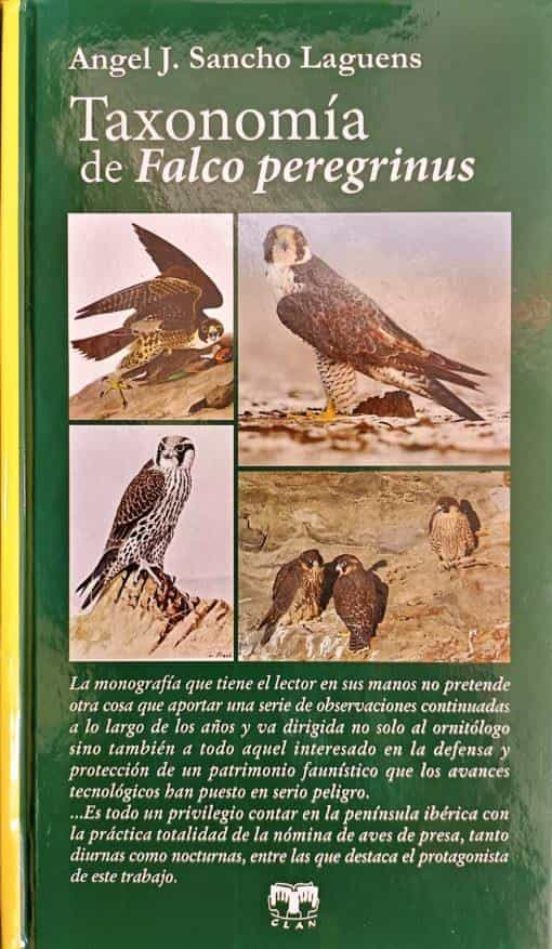 Taxonomía de Falco Peregrinus
